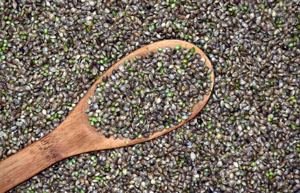 Hemp seed, a food with multiple benefits