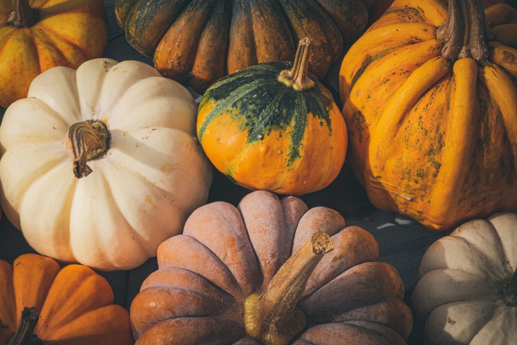 Taste squash differently this fall (recipe!) Taste squash differently this fall (recipe!)
